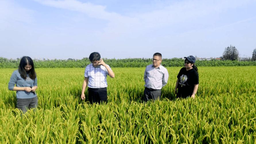 南通市农业新技术推广协会参加江苏爱佳福如耕地质量修复